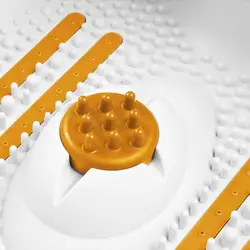 ماساژور پا مدیسانا-WBW