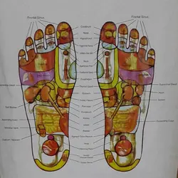 ماساژور ضربانی الکترونیکی Life sense N-2100
