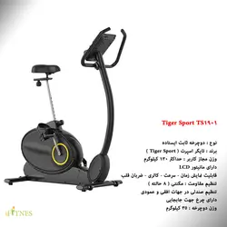 دوچرخه ثابت تایگر اسپرت Tiger Sport TS 1901