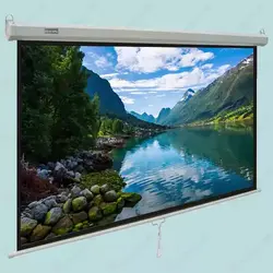 پرده نمایش دستی سلکسون CELEXON 2×2