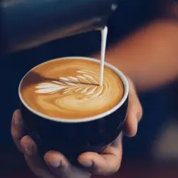 مشخصات، قیمت و خرید پیچر شیر بیالتی | فروشگاه اینترنتی ایلیا