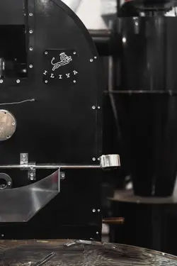 مشخصات، قیمت و خرید رستر قهوه ایلیا مدل CR120 | فروشگاه اینترنتی ایلیا