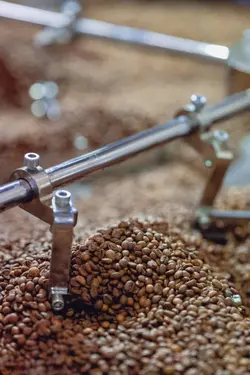 مشخصات، قیمت و خرید رستر قهوه ایلیا مدل CR120 | فروشگاه اینترنتی ایلیا