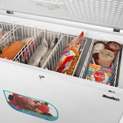 فریزر صندوقی برفاب مدل 310L