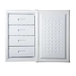 فریزر ایستکول 6 فوت مدل TM-946-4D