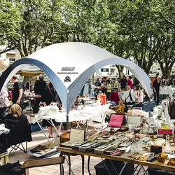 سایه بان کمپینگ کلمن مدل FastPitch™ Shelter XL