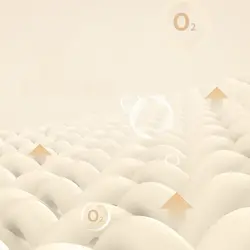 زیرانداز بادی خودباشو یکنفره نیچرهایک مدل Single Self-Inflating