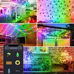 ریسه موزیکال ده متری مدل Tuya Globe Light RGB