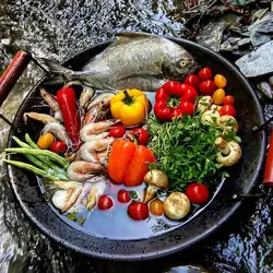 ساج کمپینگ با کاور ساج وک مدل سیزن