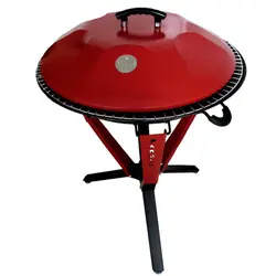 درب آتشدان هیزمی پارمیس مدل 100