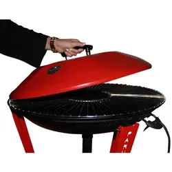 درب آتشدان هیزمی پارمیس مدل 100