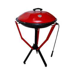 درب آتشدان هیزمی پارمیس مدل 100