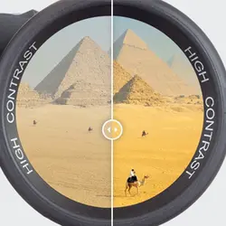 دوربین دوچشمی اشتاینر Wildlife Pro 8x30