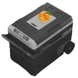 یخچال سفری 55 لیتری آلپیکول مدل TWW55