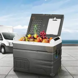 یخچال کمپینگ 60 لیتری آلپیکول مدل TS60