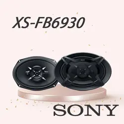 XS-FB6930 بلندگو سونی SONY