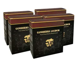 پودر قارچ گانودرما - بسته 500 گرمی