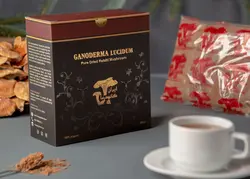 پودر قارچ گانودرما - بسته 500 گرمی