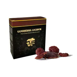 قارچ گانودرما سالم - بسته 100 گرمی