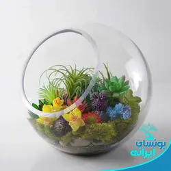 کارگاه آموزشی طراحی تراریوم