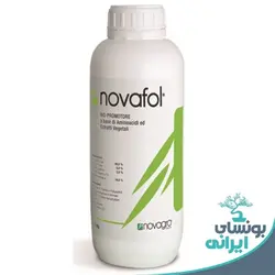 آمینو اسید نوافول - 50 گرمی