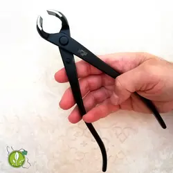 انبر مقعر بر