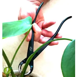 انبر مقعر بر