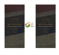 پک دوتایی قهوه هات چاکلت با قارچ گانودرما دکتر بیز