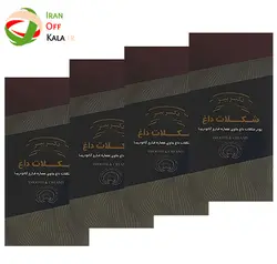 پک 4 بسته ای هات چاکلت (شکلات داغ) دکتر بیز_ قارچ گانودرما 20 عددی