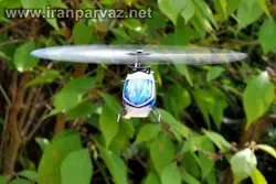 هلیکوپتر کنترلی شش کاناله فول آکروباتیک WLToys V977 , مخصوص حرفه ای ها