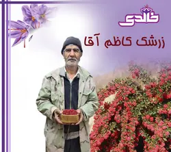 زرشک کاظم آقا