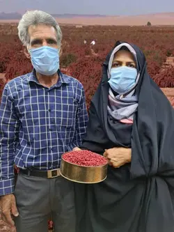 زرشک فاطمه خانم