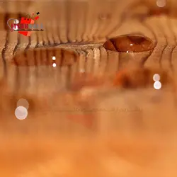 نانو محلول آبگریز چوب