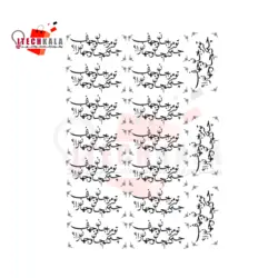 ترنسفر طرح خوشنویسی (۴)