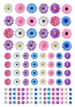 طلق گل ریز (کد 1)