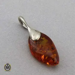 مدال کهربا بولونی لهستان طرح هانی اسپرت - کد 3310