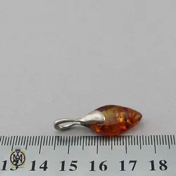 مدال کهربا بولونی لهستان طرح هانی اسپرت - کد 3310