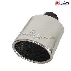 سر اگزوز ریموس بیضی