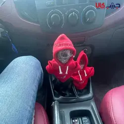 هودی سر دنده