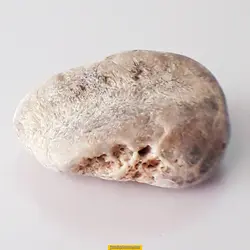 سنگ اسکالوسایت 142.0ctکد MYM16