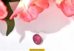 یاقوت طبیعی با  شناسنامه2.80 قیراط کد RY13