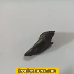 فروش شهاب سنگ با وزن 31 گرم کدHS103