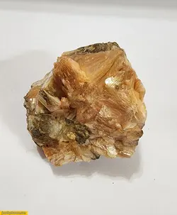 اسکالوسایت 85گرم  کدmym41