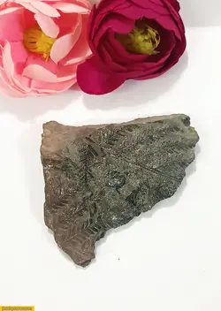 فسیل برگ40 گرم کد2 fo