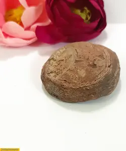 فسیل صدف 59 گرم کد 4 Fo