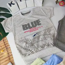 تیشرت شلوارک بلودی کدJK1281