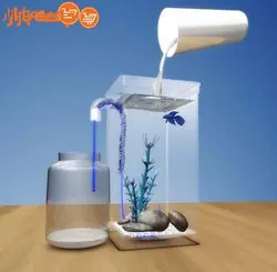 آکواریوم جادویی