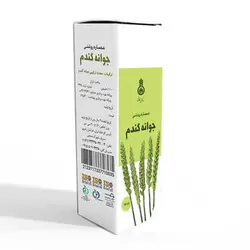 عصاره روغنی جوانه گندم دکتر زرقانی (30 سی سی).DZ