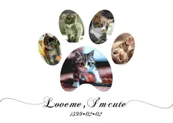 تابلو ژیوار | تابلو گربه