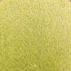 موکت طرح اسنوپی